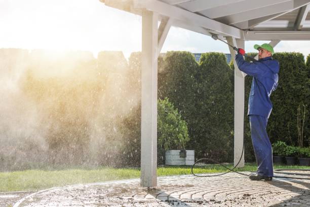 Best Pre-Holiday Cleaning  in Huntington, VA